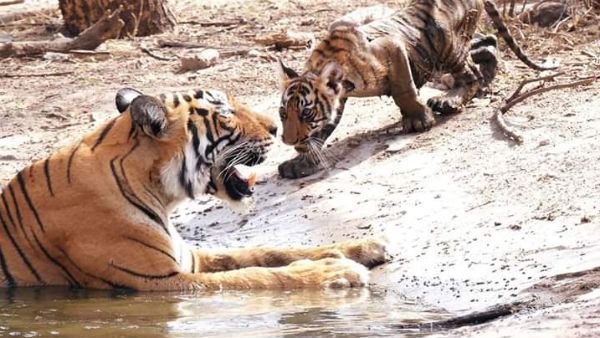 মধ্য ফেব্রুয়ারি থেকেই সতর্কতামূলক ব্যবস্থা নেওয়া হয়েছে