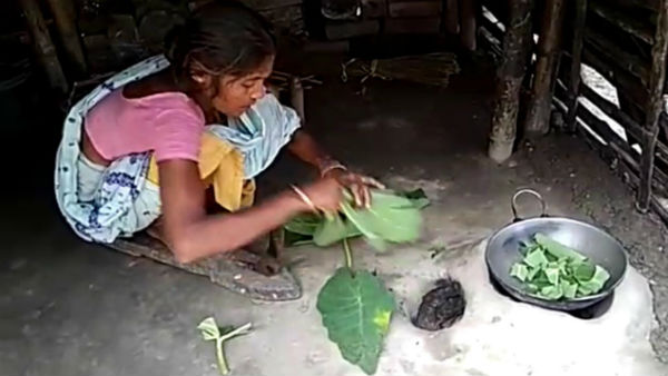 পুরুষশূন্য গ্রাম, কচু পাতা খেয়ে দিন কাটচ্ছে বাদুড়িয়ার দাস পাড়া-কাহার পাড়ার পুরুষশূন্য গ্রাম, কচু পাতা খেয়ে দিন কাটচ্ছে বাদুড়িয়ার দাস পাড়া-কাহার পাড়ার
