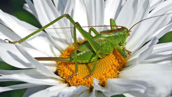 রাষ্ট্রপুঞ্জের আগাম সতর্কতা