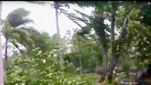 যে সব এলাকা ঝড়ের প্রকোপে