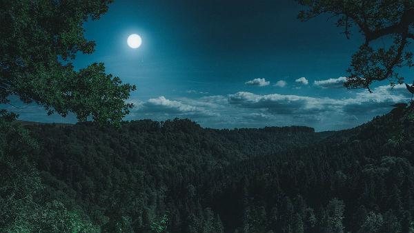 তুলা ও বৃশ্চিক