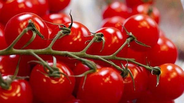 অন্য ফলনেও থাবা বসানোর আশঙ্কা