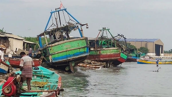 প্রাকৃতিক ভারসাম্য বিঘ্নিত