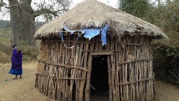 আফ্রিকার পাশে বিশ্বস্বাস্থ্য সংস্থা