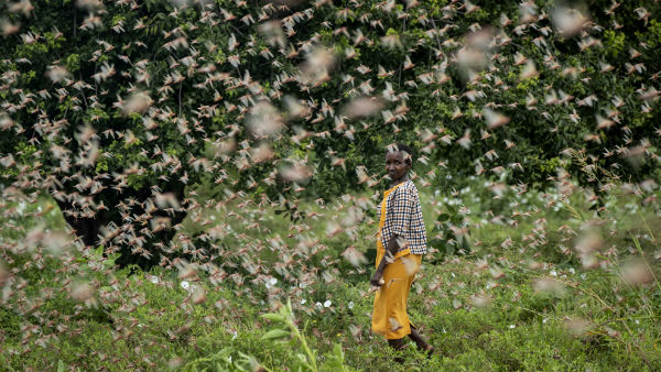 ড্রাম, বাসন, মিউজিক সিস্টেমে গান বাজানোর নির্দেশ