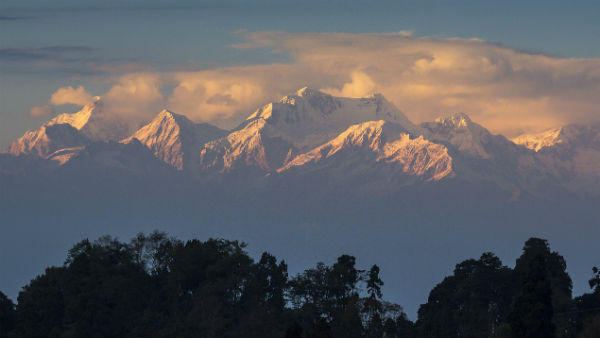 আগাম বুকিংয়ের সুযোগ