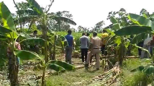 সীমান্তে পাট ক্ষেত থেকে মৃতদেহ উদ্ধার সীমান্তে পাট ক্ষেত থেকে মৃতদেহ উদ্ধার