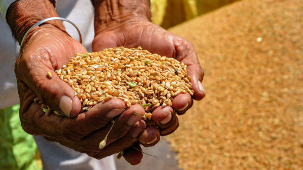 তিনমাসে রাজ্য–কেন্দ্র শাসিত অঞ্চল খাদ্যশস্য বিতরণ করেছে