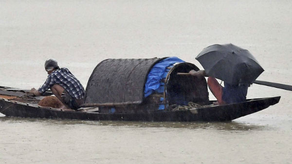 বংশবৃদ্ধিতে সাহায্য