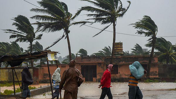 হঠাৎ ঝমঝমিয়ে নামতে পারে বৃষ্টি