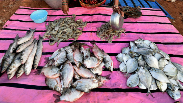 কোভিড–১৯ সংক্রমিত হয়েছে প্রাণী থেকে