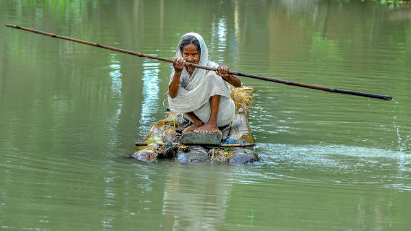 বিপর্যস্ত বন্যপ্রাণ