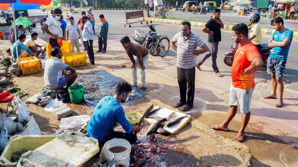 পশু থেকেই মারণ রোগ মানুষের মধ্যে সংক্রমিত