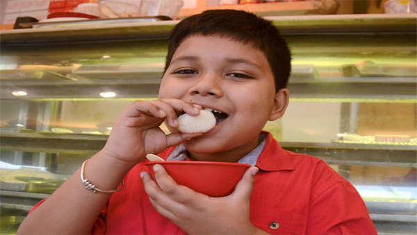 বছর ঘুরতেই ধুঁকতে শুরু করে মিষ্টি হাব