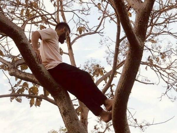 হঠাৎ গাছের মগ ডালে অধিনায়ক বিরাট, সোশ্যাল মিডিয়ায় জোর চর্চা হঠাৎ গাছের মগ ডালে অধিনায়ক বিরাট, সোশ্যাল মিডিয়ায় জোর চর্চা