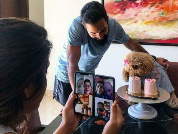 পোষ্যের জন্মদিনে কেক তৈরি করেছিলেন নাইট অধিনায়ক