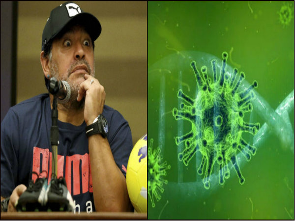 করোনায় কাঁপছে বিশ্ব, হঠাৎ কেন দিয়েগো মারাদোনাকে ক্লাবে আসতে নিষেধ করোনায় কাঁপছে বিশ্ব, হঠাৎ কেন দিয়েগো মারাদোনাকে ক্লাবে আসতে নিষেধ