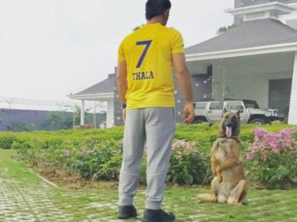 সাক্ষী আরও লিখেছেন