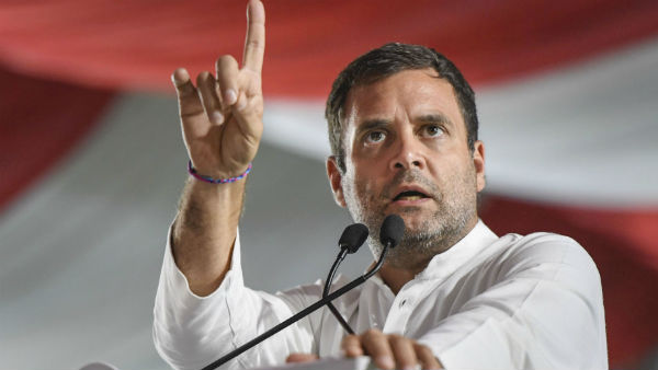 লোকসভা ভোটে হারার পর পদত্যাগ করেছিলেন রাহুল গান্ধী
