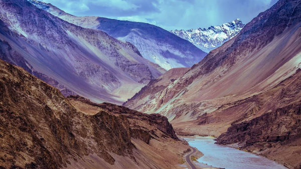 জঙ্গলে শিকারে গিয়েছিলেন সেই যুবকরা