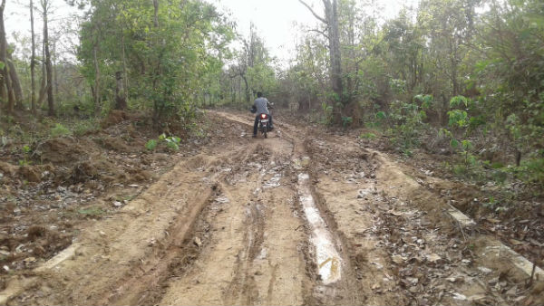 পুরুলিয়ার গ্রামে হিংস্র প্রাণীর উপদ্রব, আতঙ্কে আমজনতা পুরুলিয়ার গ্রামে হিংস্র প্রাণীর উপদ্রব, আতঙ্কে আমজনতা