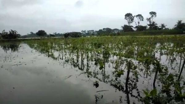জল যন্ত্রণায় নাকাল ইছামতির দুইপারের গ্রামের মানুষ জল যন্ত্রণায় নাকাল ইছামতির দুইপারের গ্রামের মানুষ