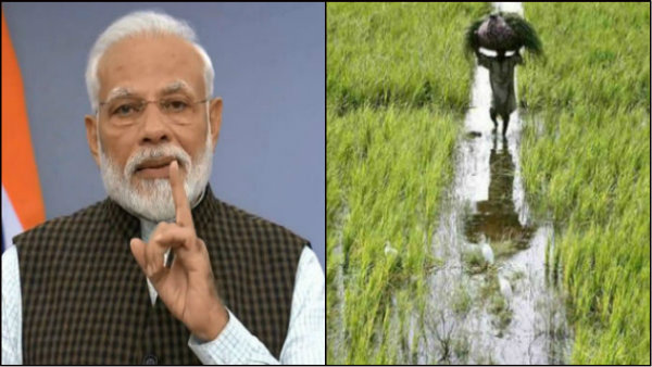 মোদী বিরোধিতা বন্ধের আবেদন