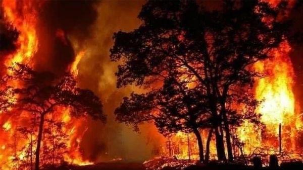 এই দাবানলের জেরে জলবায়ু পরিবর্তনও ঘটতে পারে