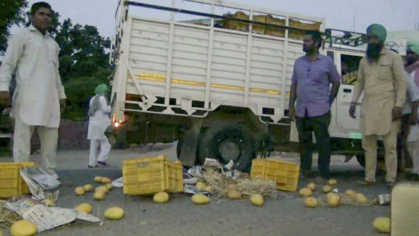 কৃষিব্যবস্থা আরও বেশি করে পুঁজিবাদীদের হাতে তুলে দিতে চাইছে কেন্দ্র ?