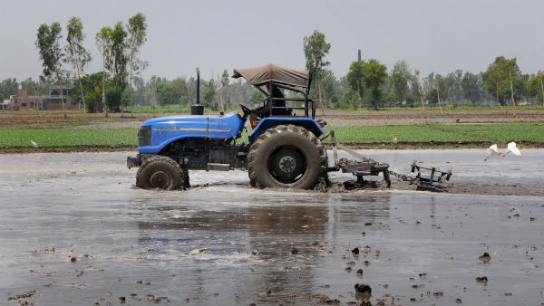 অতিবৃষ্টির ভয়াবহ উদাহরণ