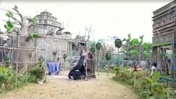 করোনার মাঝে সল্টলেকের তিনটি ব্লক ফুটিয়ে তুলল অভিনব পুজো ভাবনা করোনার মাঝে সল্টলেকের তিনটি ব্লক ফুটিয়ে তুলল অভিনব পুজো ভাবনা