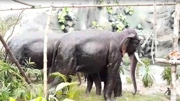 করোনার মাঝে সল্টলেকের তিনটি ব্লক ফুটিয়ে তুলল অভিনব পুজো ভাবনা করোনার মাঝে সল্টলেকের তিনটি ব্লক ফুটিয়ে তুলল অভিনব পুজো ভাবনা