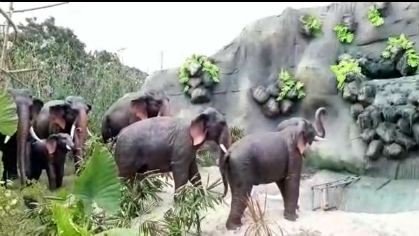 করোনার মাঝে সল্টলেকের তিনটি ব্লক ফুটিয়ে তুলল অভিনব পুজো ভাবনা করোনার মাঝে সল্টলেকের তিনটি ব্লক ফুটিয়ে তুলল অভিনব পুজো ভাবনা