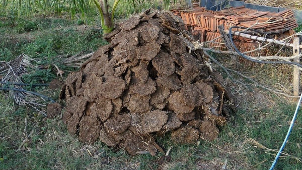 গোবর দিয়ে তৈরি বিকিরণ চিপ