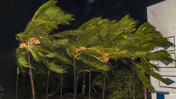 মহারাষ্ট্রে তুমুল বৃষ্টিপাত আসন্ন