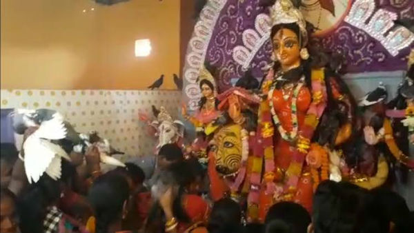 উত্তরবঙ্গের রাজবংশী সমাজে দুর্গাপুজোর পরে তিনদিন ধরে চলে অন্য পুজো উত্তরবঙ্গের রাজবংশী সমাজে দুর্গাপুজোর পরে তিনদিন ধরে চলে অন্য পুজো