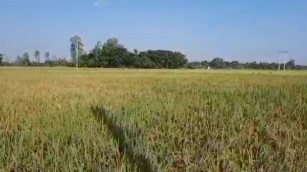 শীর্ষে রয়েছে অসম