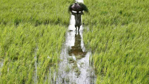 প্রকল্পের দাবিদার হওয়ার সংজ্ঞায় সমস্যা