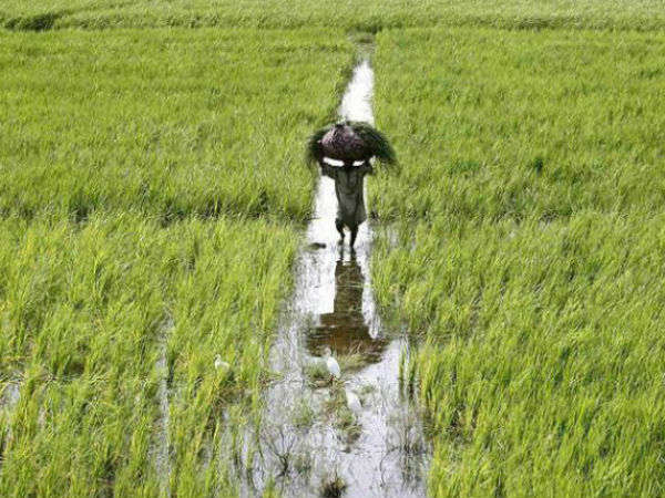সরকার সহায়তা করার জন্য সদা প্রস্তুত