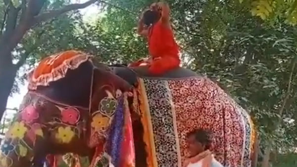 যোগাসন শেখাতে গিয়ে হাতির পিঠ থেকে পড়ে ধরাশায়ী বাবা রামদেব, ভিডিও ভাইরাল সোশ্যাল মিডিয়ায় যোগাসন শেখাতে গিয়ে হাতির পিঠ থেকে পড়ে ধরাশায়ী বাবা রামদেব, ভিডিও ভাইরাল সোশ্যাল মিডিয়ায়