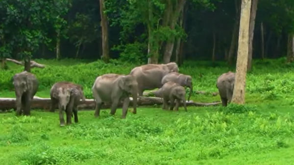কীভাবে যাবেন