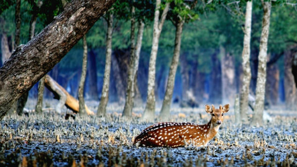 অবস্থিতি