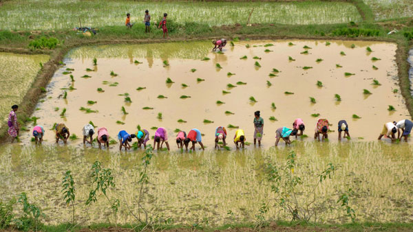 দিল্লিতে প্রবেশ করতে দেওয়া হচ্ছে না কেন?