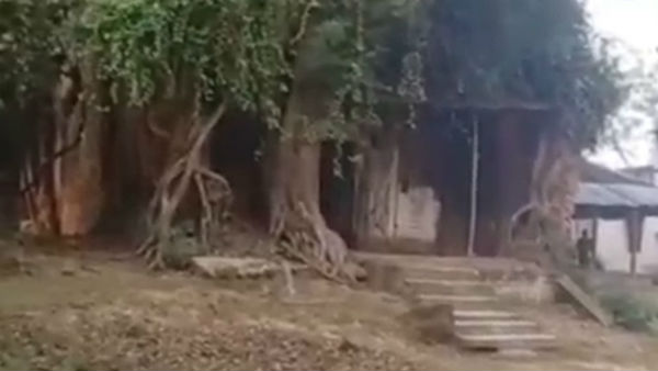 দক্ষিণ দিনাজপুরে ৬০০ বছরের পুরনো এই কালী মন্দিরে মহিলাদের প্রবেশ নিষেধ দক্ষিণ দিনাজপুরে ৬০০ বছরের পুরনো এই কালী মন্দিরে মহিলাদের প্রবেশ নিষেধ