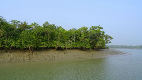 কীভাবে যাবেন