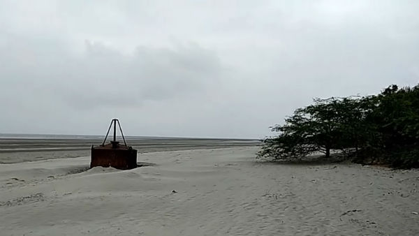 কী কী দেখবেন