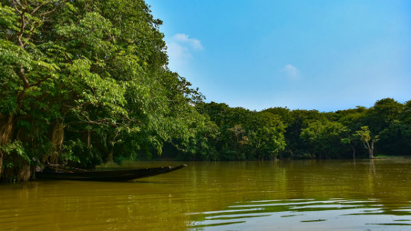 সংক্ষিপ্ত ইতিহাস