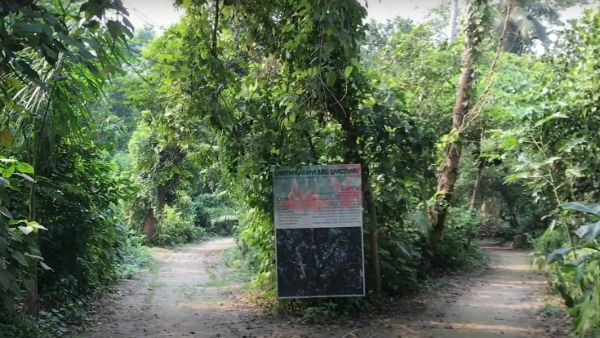 কীভাবে যাবেন