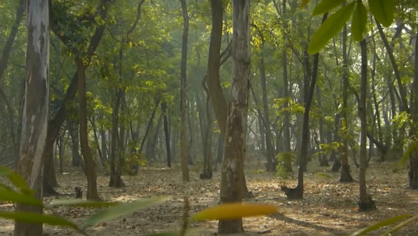 অবস্থিতি