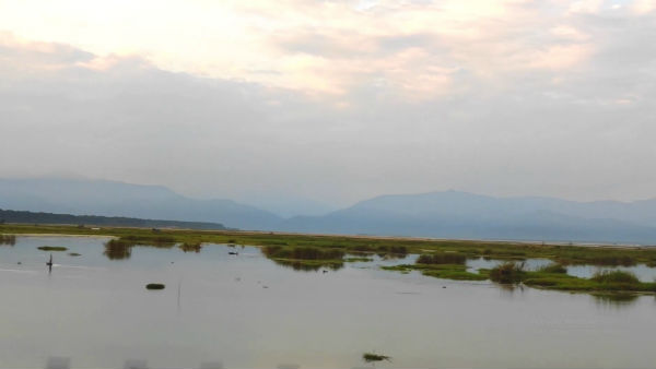 কেন যাবেন